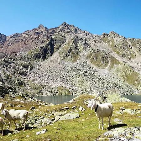 Scheiber By Interhome Apartamento *