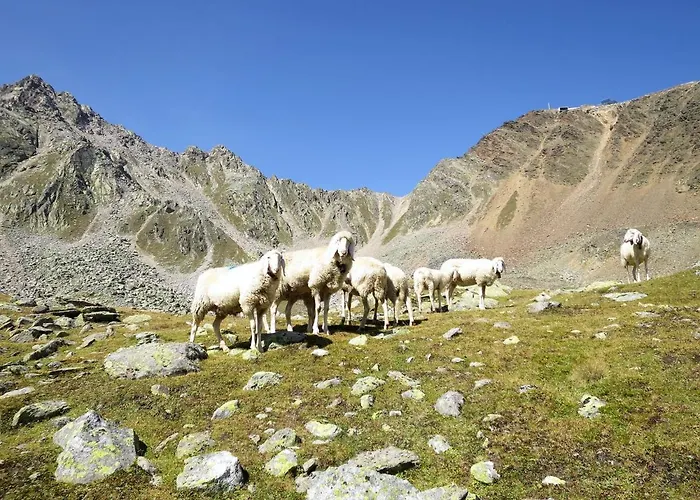 Apartamento Scheiber By Interhome *